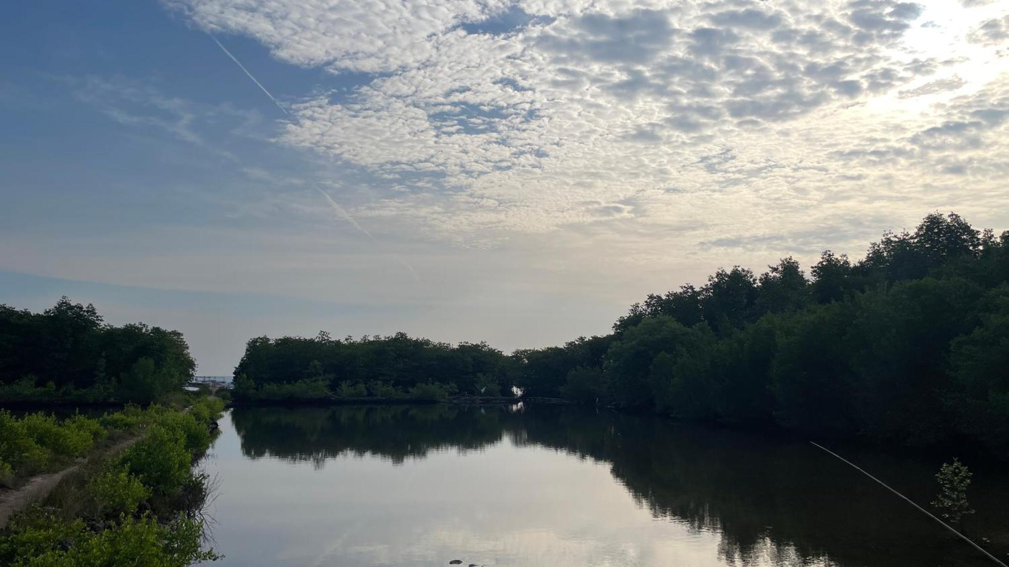 Mangrove Inn Karimunjawa Eksteriør bilde