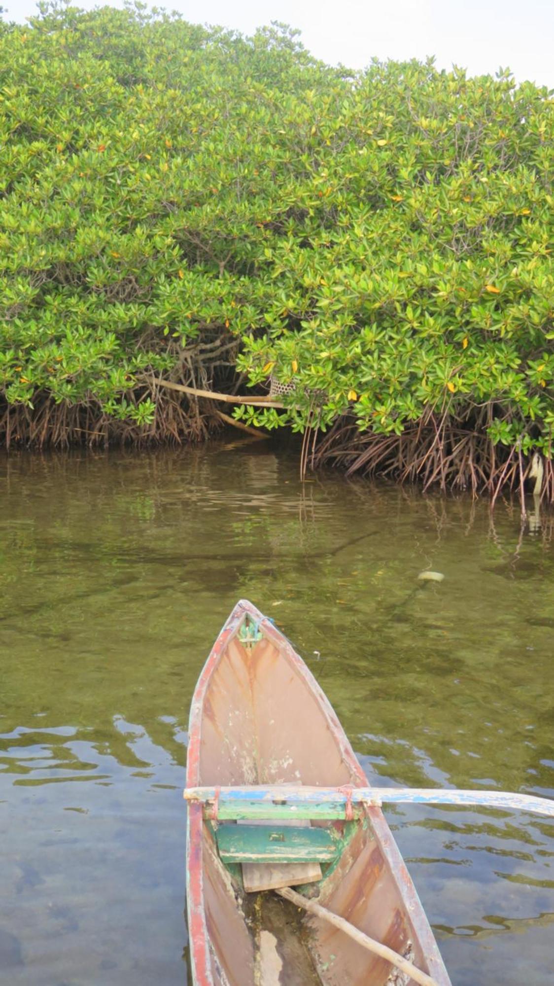 Mangrove Inn Karimunjawa Eksteriør bilde