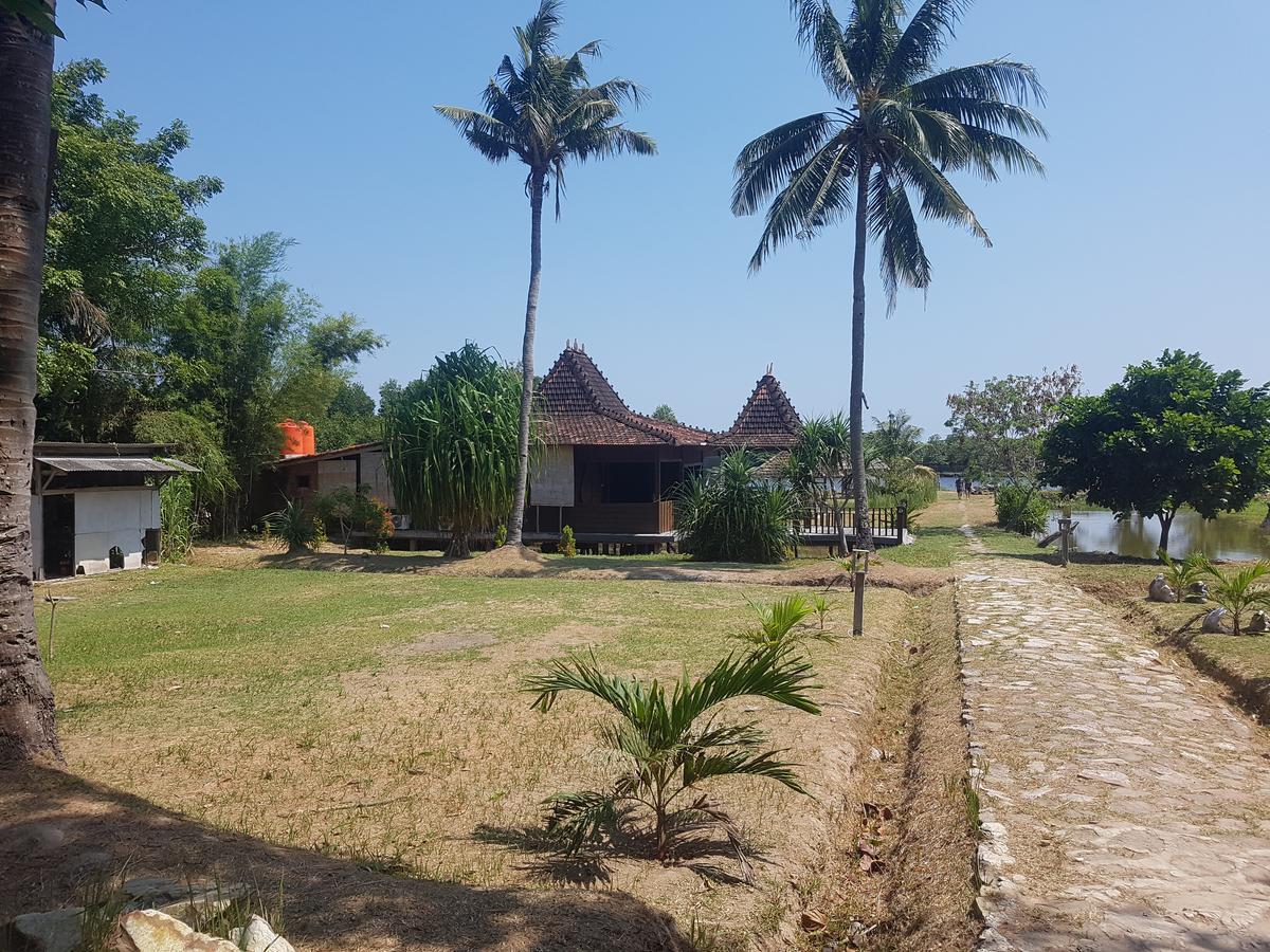 Mangrove Inn Karimunjawa Eksteriør bilde