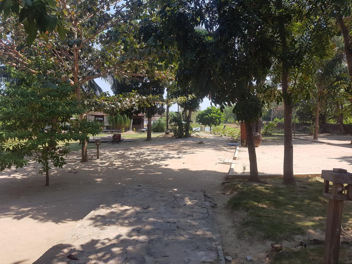 Mangrove Inn Karimunjawa Eksteriør bilde